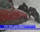 Зимой в Костанайской области выпало рекордное количество снега
