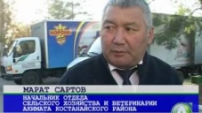 Сельхозярмарка